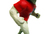 University of Georgia Bulldog Bobblehead